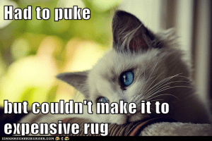 puke cat