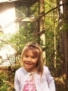mini moo, posing with the kookaburra at the atlanta zoo, many moons ago