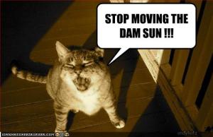 dam sun!