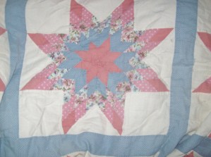 beach, trunk, dog blanket