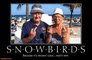 these are not my parents