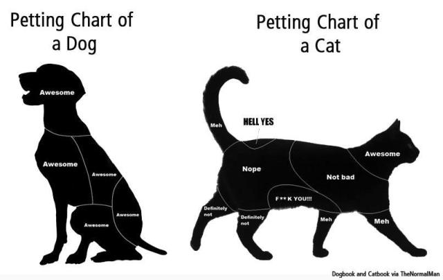 petting-chart