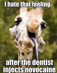 Me-at-the-dentist