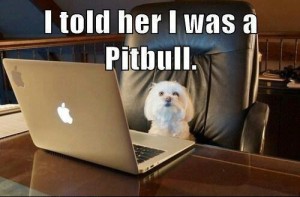 online-dating-dog-300x197