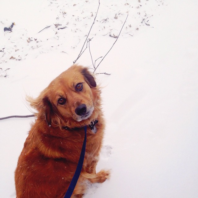 10474020_10153067240438236_8054405264400555364_n