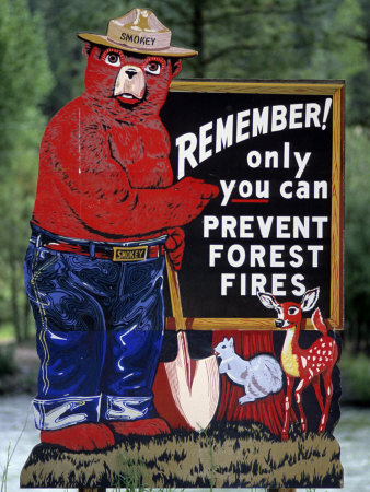 Smokey-The-Bear