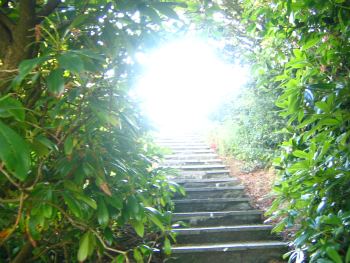 steps-to-enlightenment-2