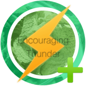 1encouraging-thunder-e1427793461525
