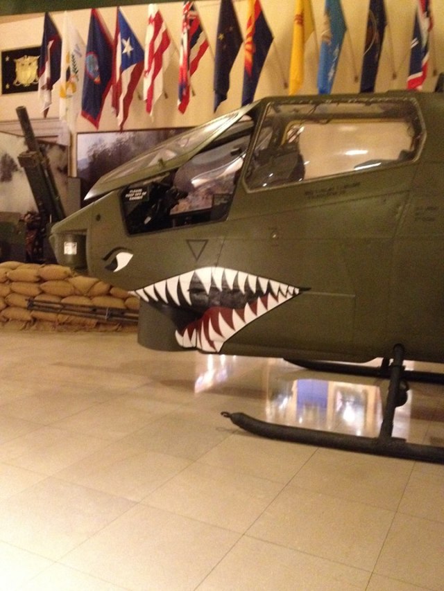 moo knew this was a cobra. i did not.