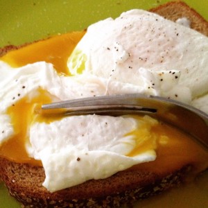 poached eggs & toast