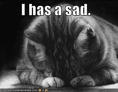 lolcat-sad