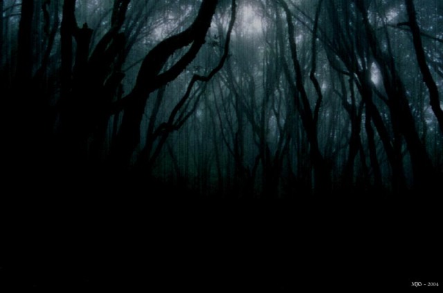 the_dark_woods_by_mjg