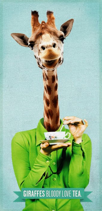 giraffe_tea