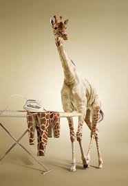 giraffe_ironing