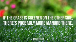 If-the-grass-is-greener-on-the-other-side-there-is-probably-more-manure-there.