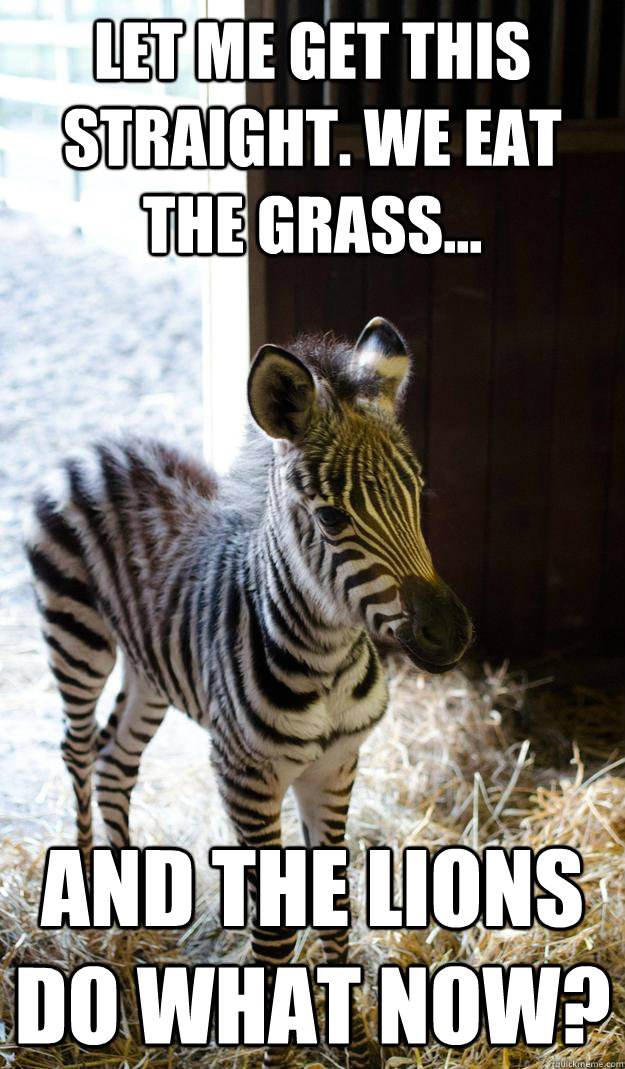 Let-Me-Get-This-Straight-We-Eat-The-Grass-Funny-Zebra-Meme-Image