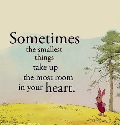 winnie-the-pooh-picture-quote