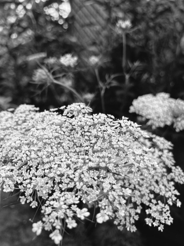 8E0DE671-2EDD-49D6-8EF5-FA06799643FD